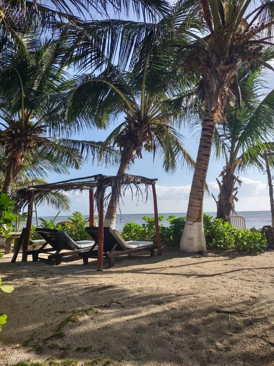 Lunazul Eco-Cabana Frente Al Mar Mahahual Εξωτερικό φωτογραφία