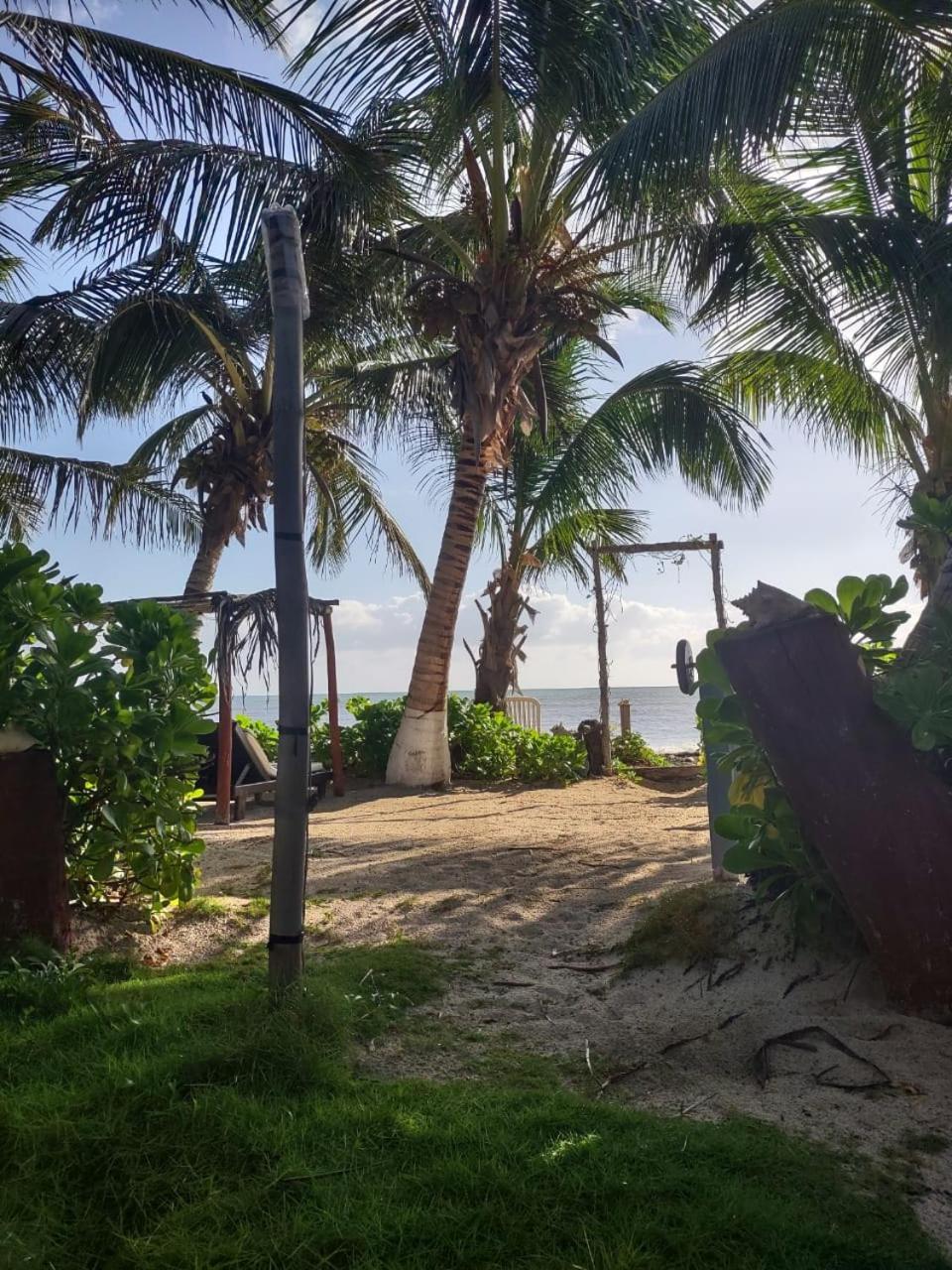 Lunazul Eco-Cabana Frente Al Mar Mahahual Εξωτερικό φωτογραφία