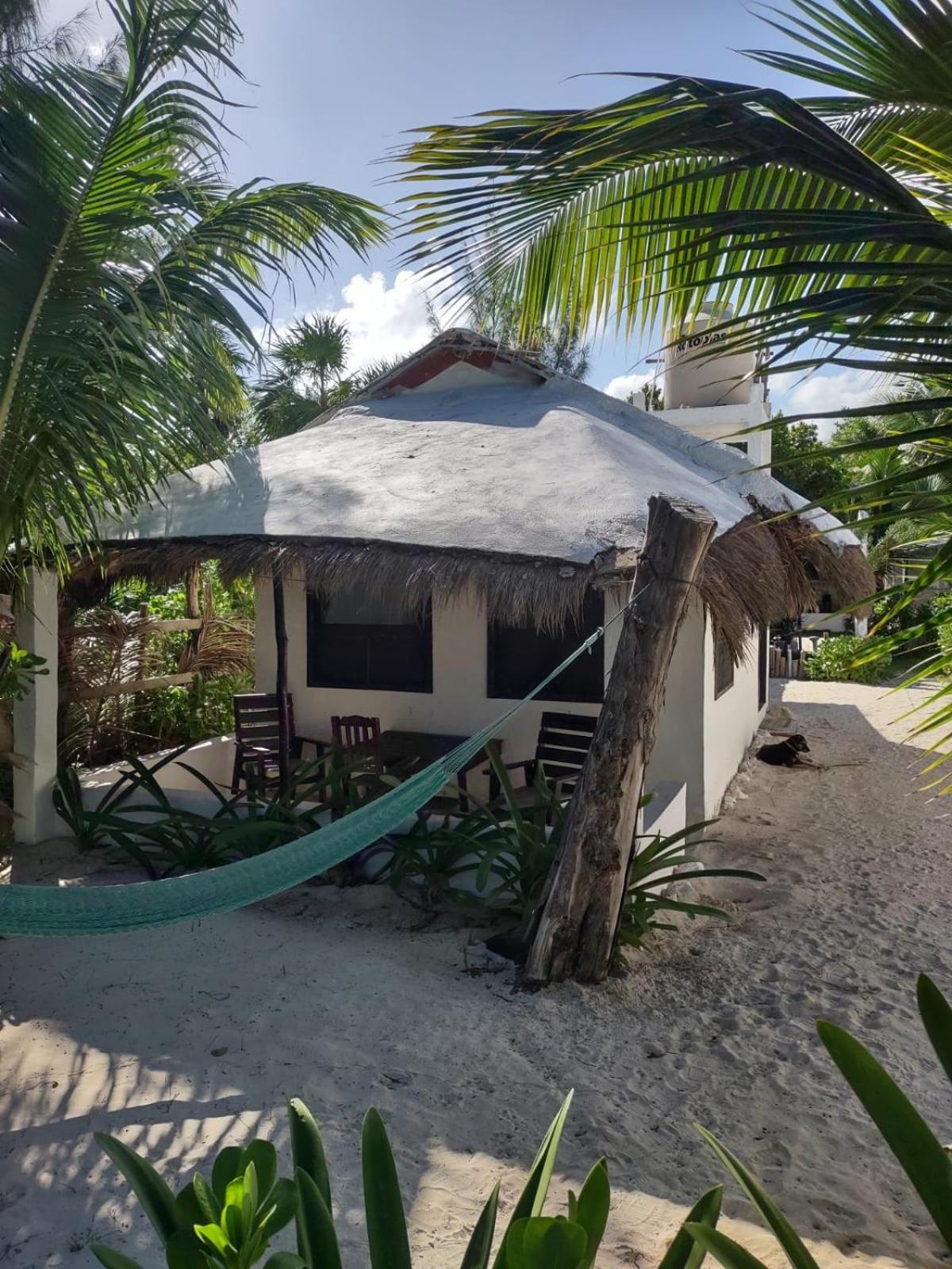 Lunazul Eco-Cabana Frente Al Mar Mahahual Εξωτερικό φωτογραφία