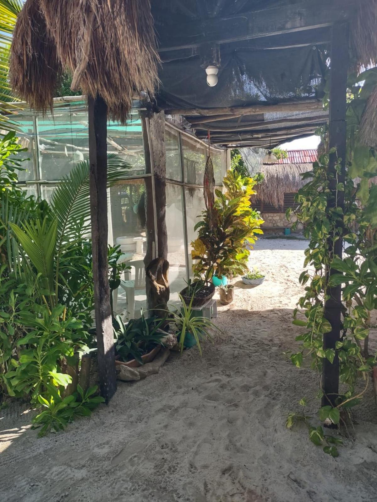 Lunazul Eco-Cabana Frente Al Mar Mahahual Εξωτερικό φωτογραφία